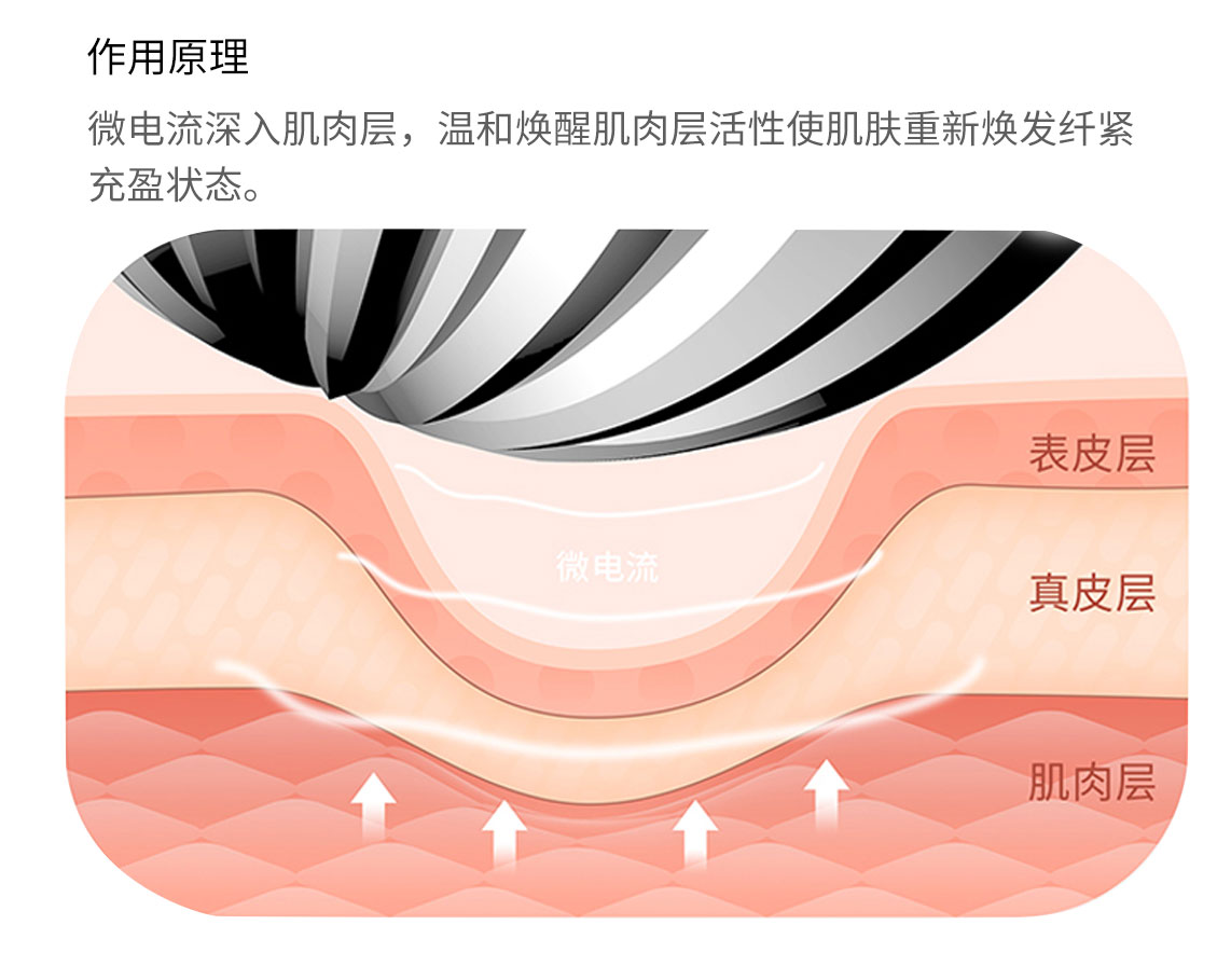 微电流美容仪,微电流按摩器,Y型按摩器，KAKUSAN美颜器，提拉紧致