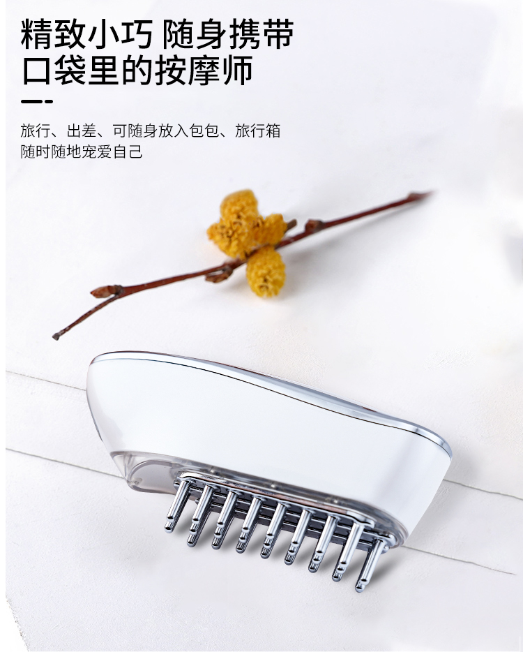 经络护发梳,EMS微电流梳,RF射频梳子,护发健发梳,防脱发按摩梳